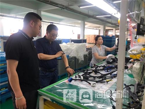 筑牢安全防线，护航企业发展——海阳工信局组织开展劳保用品安全专项监督检查工作